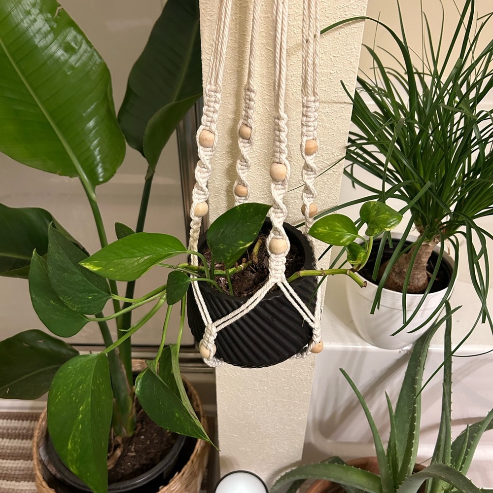 Macrame Plant Hanger (Plant Not Included)